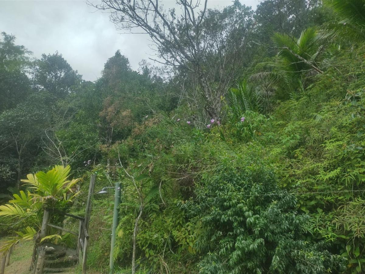 Hotel Ribeira Beach Ubatuba Buitenkant foto